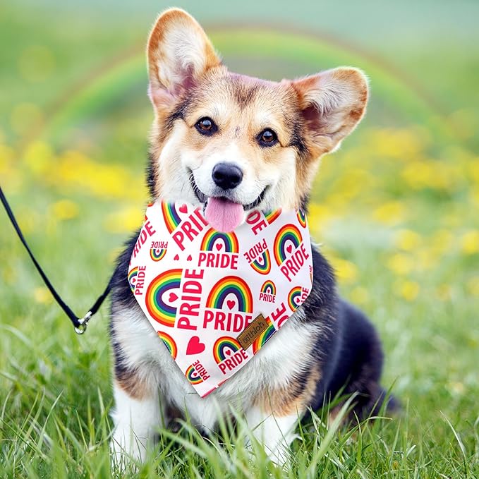 Pride Dog Bandanas 2 Pack