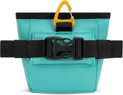 OllyDog Goodie Treat Bag, Dog Treat Pouch, Waist Belt Clip for Hands-Free Training, Magnetic Closure, Dog Training and Behavior Aids, Three Ways to Wear (Bright Aqua)