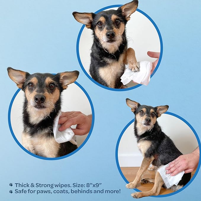 Best Pet Supplies 8" x 9" Pet Grooming Wipes for Dogs & Cats 100 Pack,