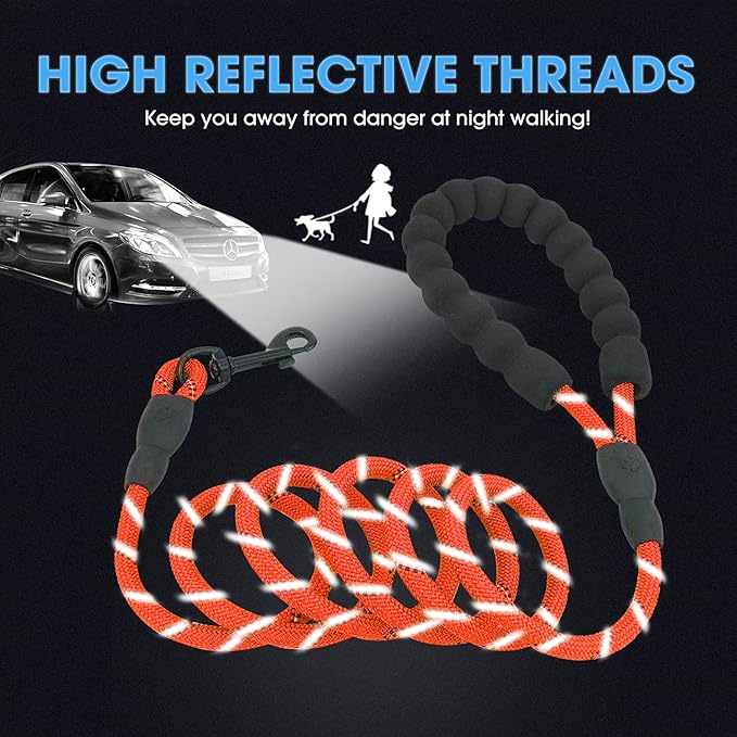 BAAPET 2/4/5/6 FT Dog Leash with Comfortable Padded Handle and Highly Reflective Threads for Small Medium and Large Dogs (5FT-1/3''