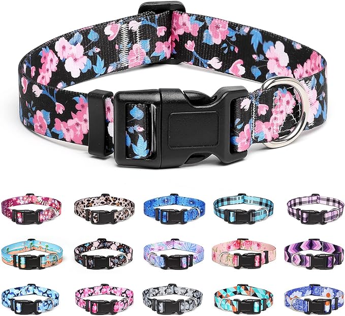 Adjustable Dog Collar with Patterns