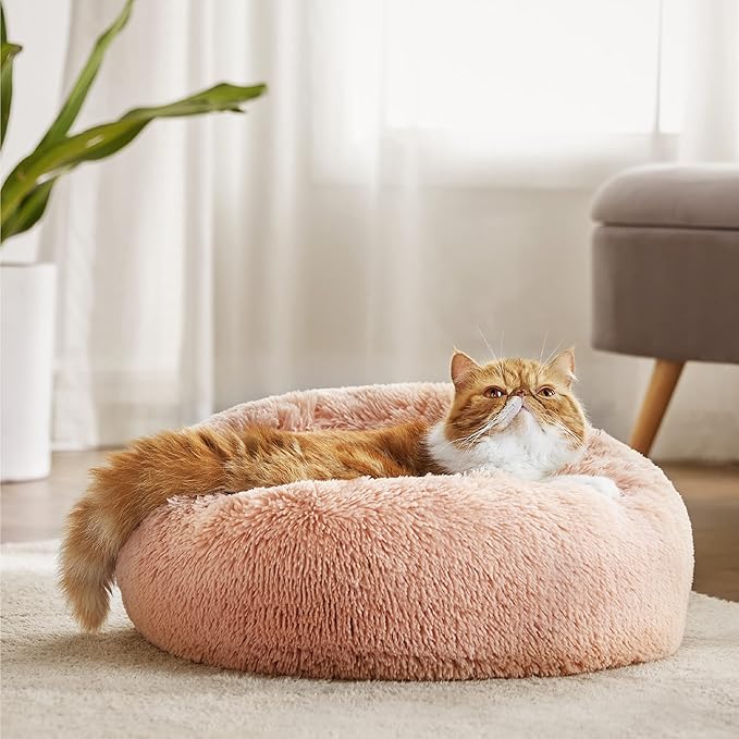 Bedsure Calming Cat Beds for Indoor Cats 20 inches, 15 lbs