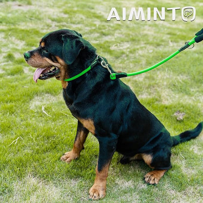 Dog Leash ((1/2") - 2FT, Light