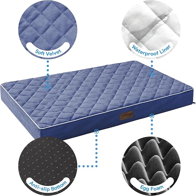 SunStyle Home Orthopedic Dog Beds for Medium Dogs