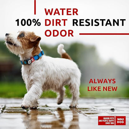 WAUDOG Waterproof Dog Collar
