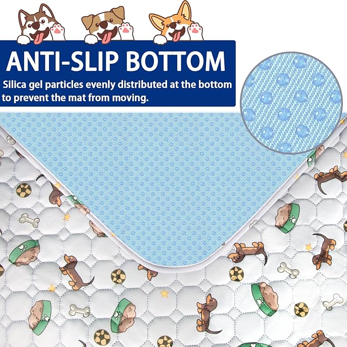 Washable Pee Pads for Dogs 2Pack 24''x36''