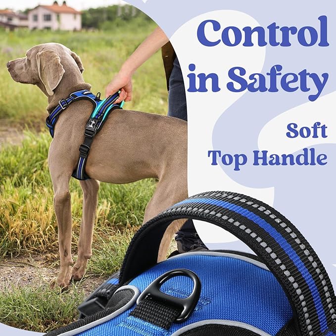 rabbitgoo Dog Harness Small Sized 3 Buckles,
