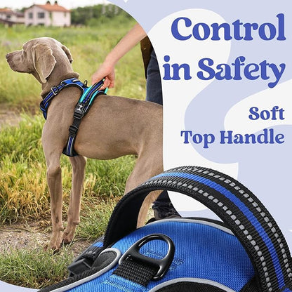 rabbitgoo Dog Harness Small Sized 3 Buckles,