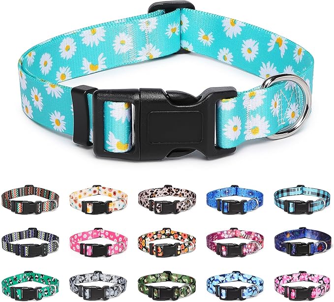 Adjustable Dog Collar with Patterns