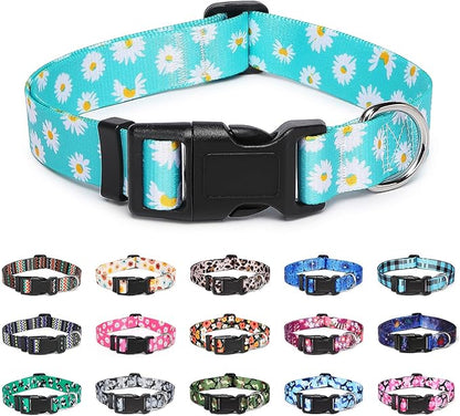 Adjustable Dog Collar with Patterns