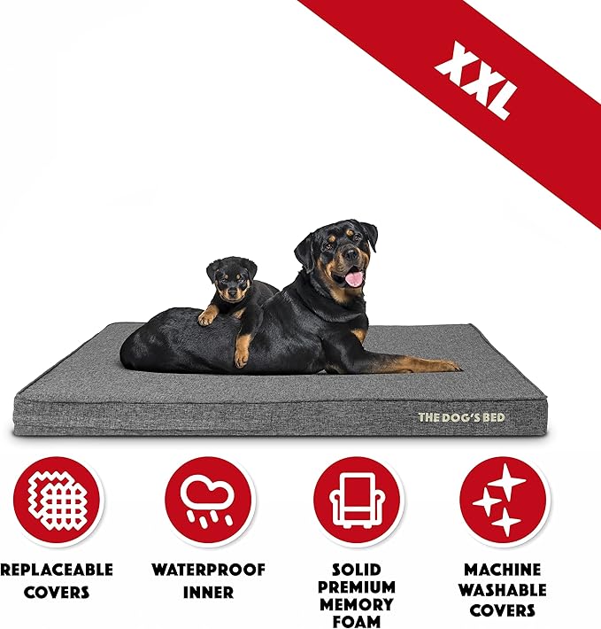 The Dog’s Bed Orthopedic Memory Foam Dog Bed 2XL GreyLinen 54x36, Pain