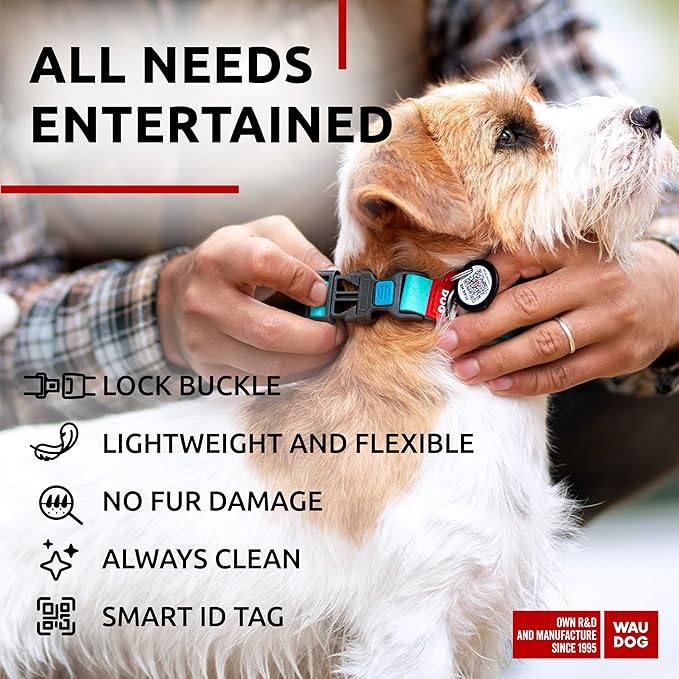 Waterproof Dog Collar (9 3/4" 13 3/4"