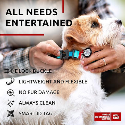 Waterproof Dog Collar (9 3/4" 13 3/4"