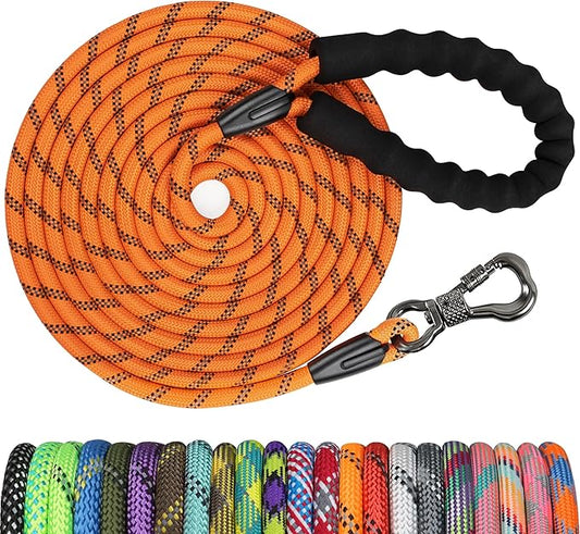 NTR 10FT Strong Dog Leash