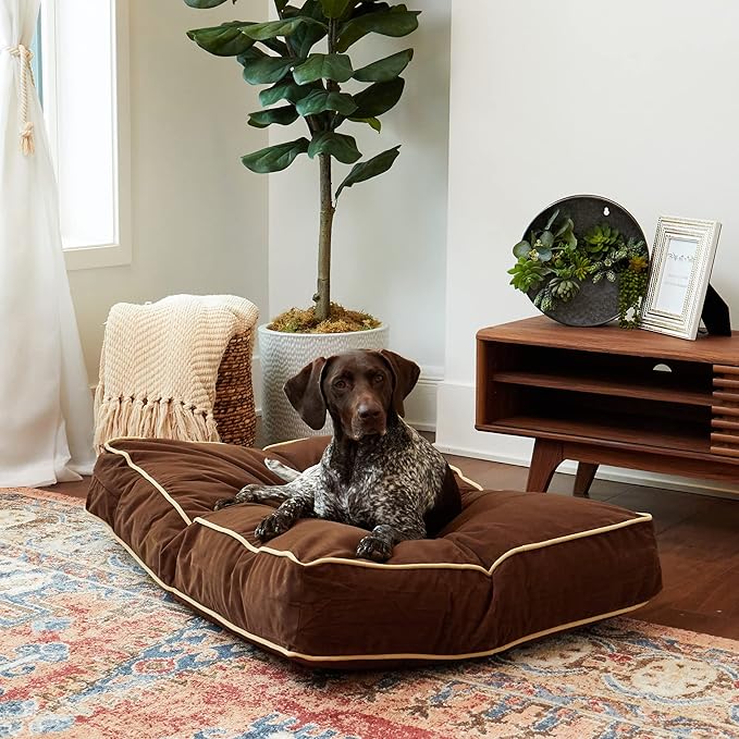 South Pine Porch Buddy Rectangle Pillow Style Dog Bed (42" x 30")