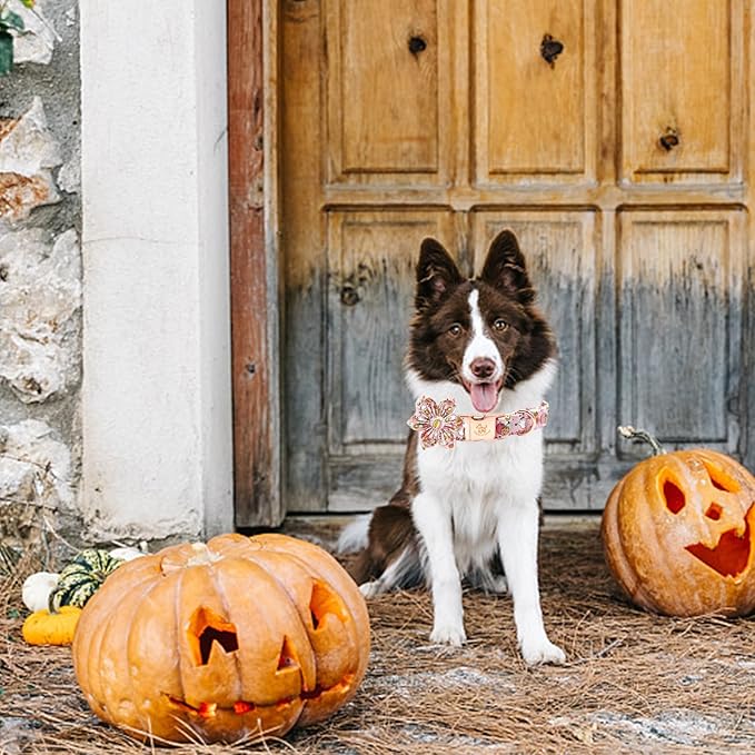 Elegant little tail Halloween Dog Collar