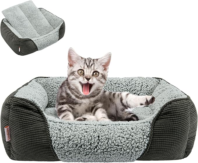 Miguel Washable Cat Beds for Indoor Cats with Removable Cushion 18 Inch