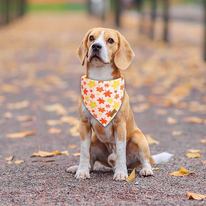 Fall Dog Bandanas 2 Pack