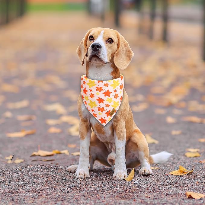 Fall Dog Bandanas 2 Pack