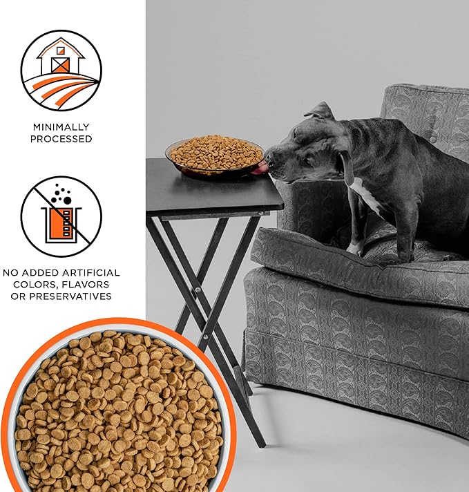 BIXBI Liberty Grain Free Dry Dog Food, Chicken Recipe, 11 lbs - Fresh Meat, No Meat Meal, No Fillers - Gently Steamed & Cooked - No Soy, Corn, Rice or Wheat for Easy Digestion - USA Made