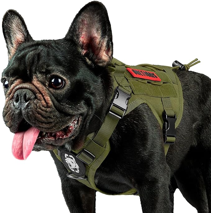 OneTigris Tactical Dog Harness Vest,No-Pull Service Dog Vest with Hook & Loop Panels,Adjustable Dog Vest Harness for Walking Hiking Training(Green,XXS)