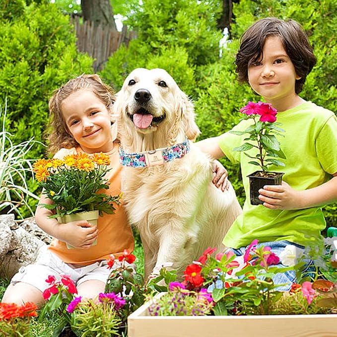 Lionheart glory Dog Collar Pink Flower Dogs Collar