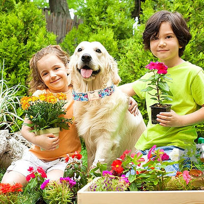 Lionheart glory Dog Collar Pink Flower Dogs Collar