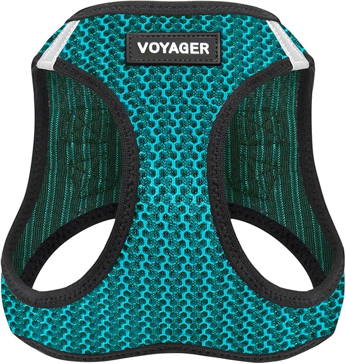 Voyager Step-in Air Dog Harness - All Weather Mesh Step in Vest Harness for Small and Medium Dogs and Cats by Best Pet Supplies - Harness (Turquoise 2-Tone), XL (Chest: 20.5-23")