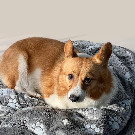 Glow Waterproof Dog Blanket Cats(paw40*30)