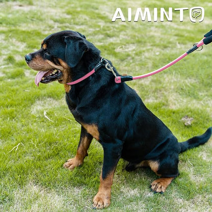 Dog Leash ((1/2") - 2FT, Pink)