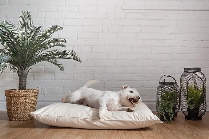 Natural Dog and Cat Bed 100% Natural