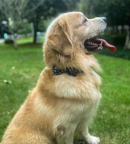 Christmas Day Dog Collar with Bow Red Green