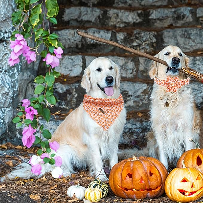 Elegant little tail Halloween Dog Collar