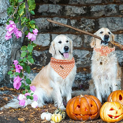 Elegant little tail Halloween Dog Collar