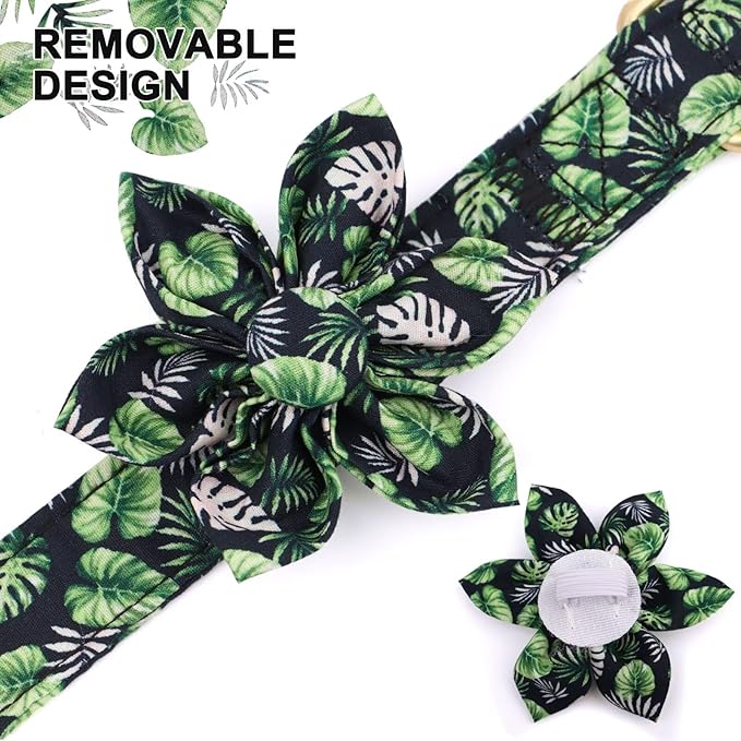 Beirui Cute Girl Dog Collars for Female Dogs