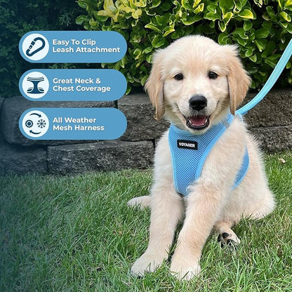 Voyager Step-in Air Dog Harness - All Weather Mesh Step in Vest Harness for Small and Medium Dogs and Cats by Best Pet Supplies - Harness (Baby Blue), XL (Chest: 20.5-23")