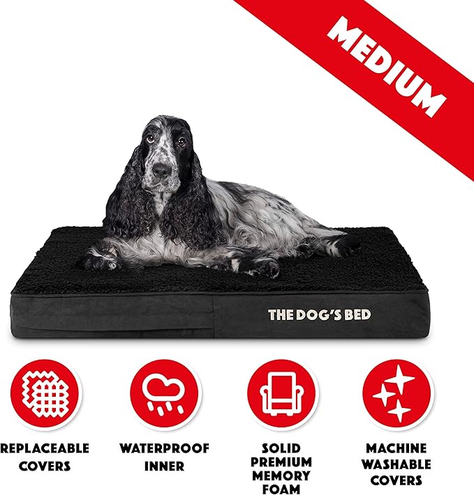 The Dog’s Bed Orthopedic Memory Foam Dog Bed 34x22, Pain