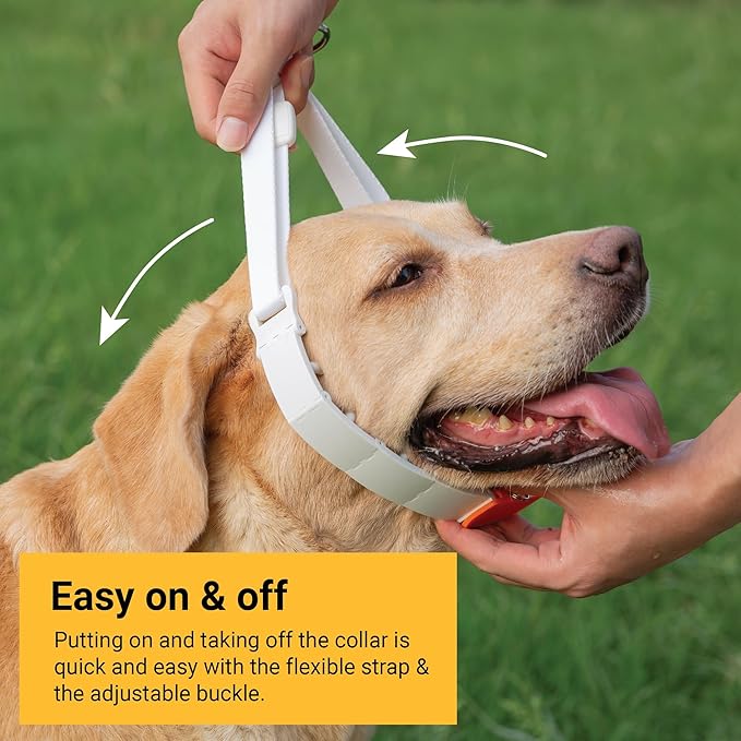 SVD.PET Dog Prong Collar for No-Pull Training