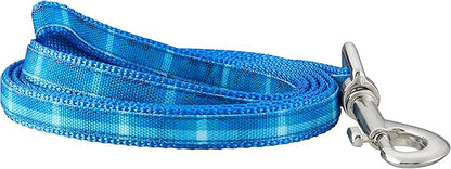 Graphic Leash for Dogs, Blue Ombre, Small/Medium