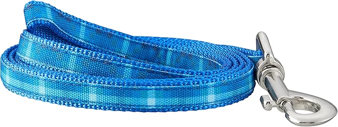 Graphic Leash for Dogs, Blue Ombre, Large/X-Large