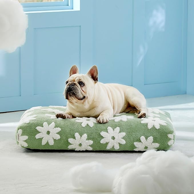 Lesure Dog Bed Medium Size Dog-Thick Shredded Chopped Foam Pet Bed Bottom(30'x20', Green)