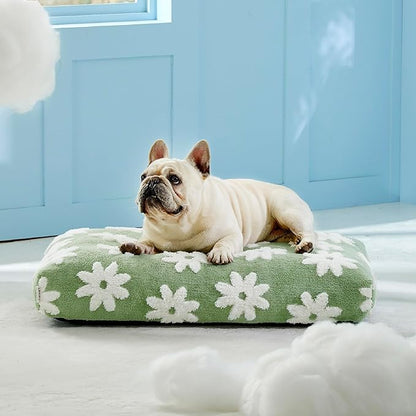 Lesure Dog Bed Medium Size Dog-Thick Shredded Chopped Foam Pet Bed Bottom(30'x20', Green)