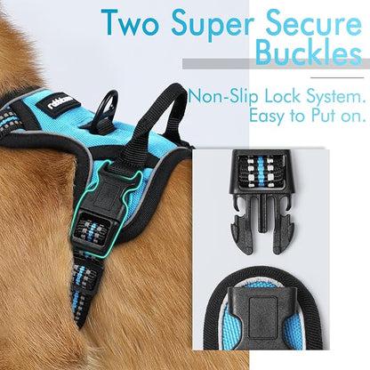 rabbitgoo Dog Harness 2 Leash