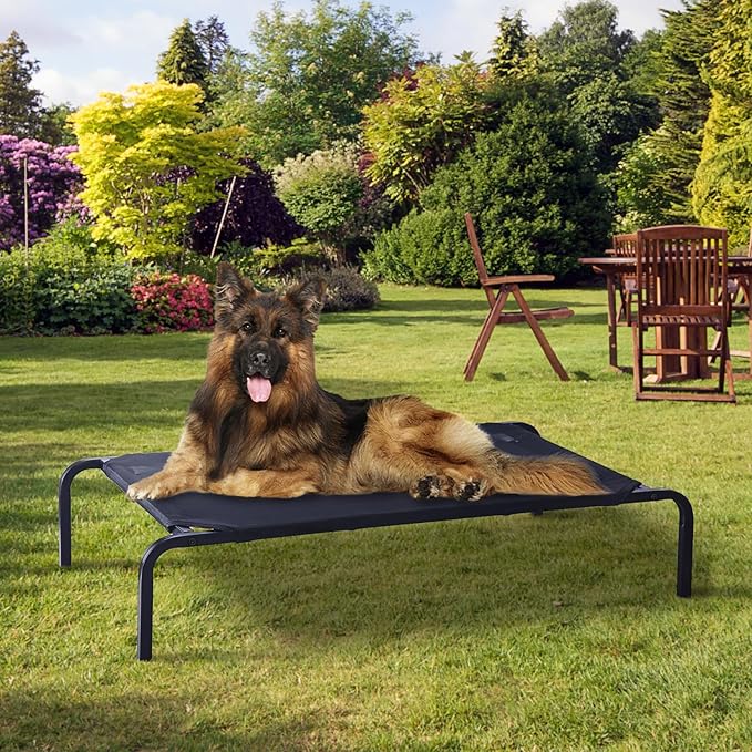 Portable Raised Cooling Steel-Framed Elevated Pet Bed