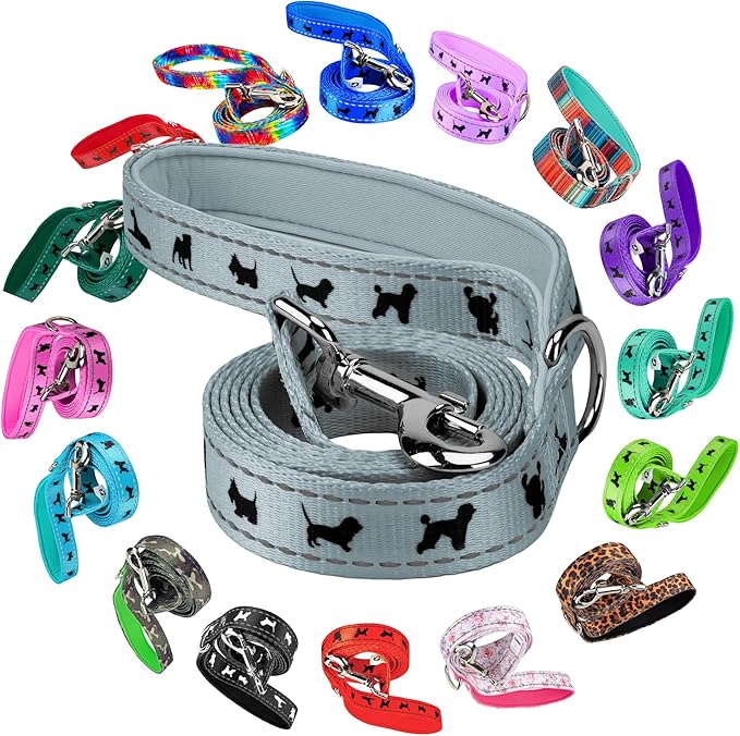 EcoBark Dog Leash - Soft & Reflective Comfort Leash with Padded Handle - Strong Durable Heavy Duty - Training and Pulling for Small, Medium or Large Dogs (Gray)