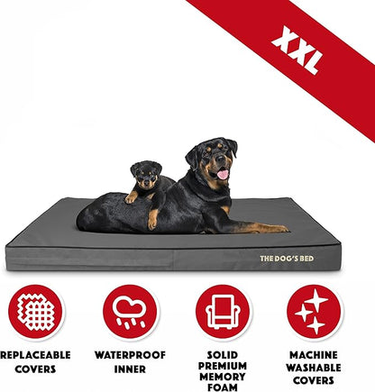 The Dog’s Bed Orthopedic Memory Foam Dog Bed 54x36, Pain