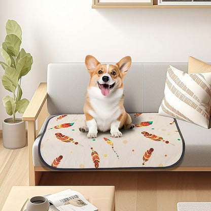 Washable Pee Pads for Dogs: 2 Pack Reusable Pee Pads for Dogs Floor,Playpen,Crate,Couch,18x24 Inch