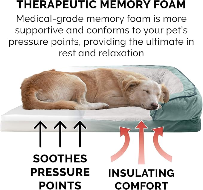 Furhaven Memory Foam Dog Bed for Medium/Small Dogs w/ Removable Bolsters & Washable Cover 35 lbs