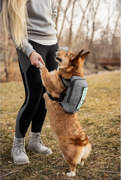 K9 Sport Sack Walk-On | Dog Carrier Dog Backpack with Harness & Storage (Small, Shark Skin Gray)