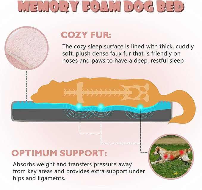 Memory Foam Orthopedic Large Dog Bed